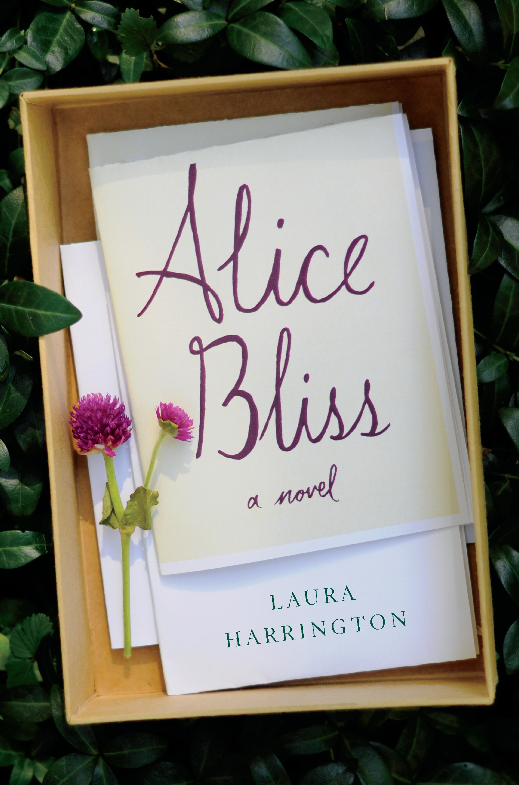 Laura Harrington (Author of Alice Bliss).